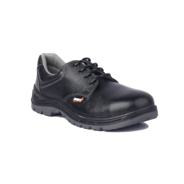 Everest EVE 107 DD Safety Shoes