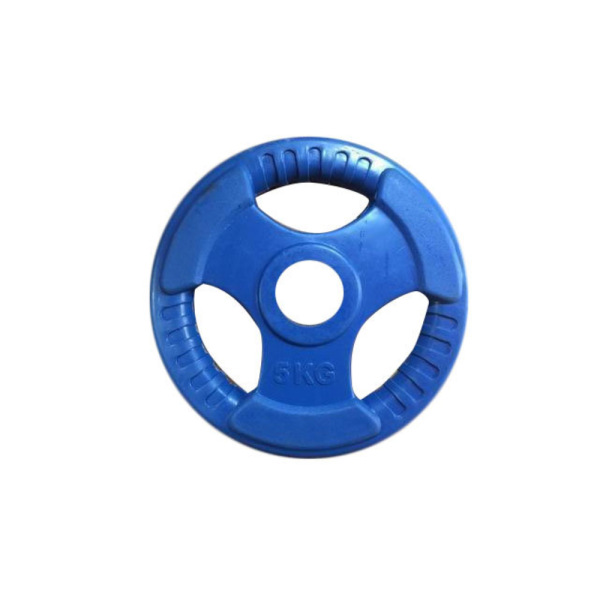 Blue Rubber Staring Weight Plate (per kg)