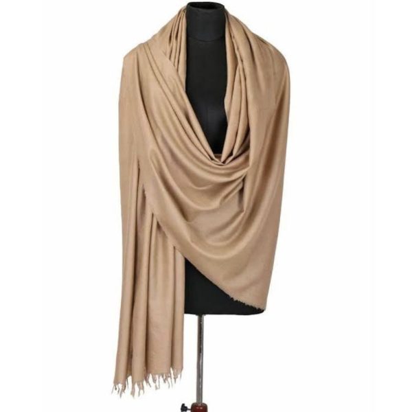 Plain Pashmina Shawls