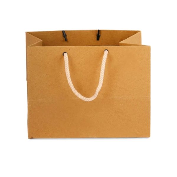 Brown Paper Bag