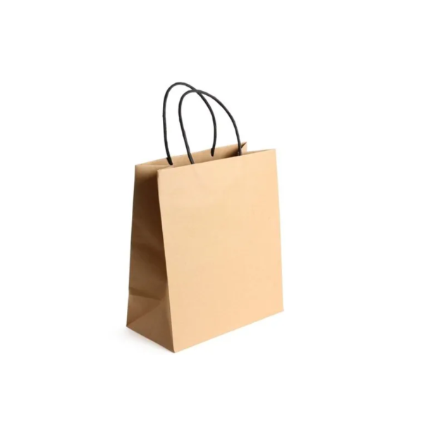 Trendy Paper Bag (Quantity: 3000 Piece)