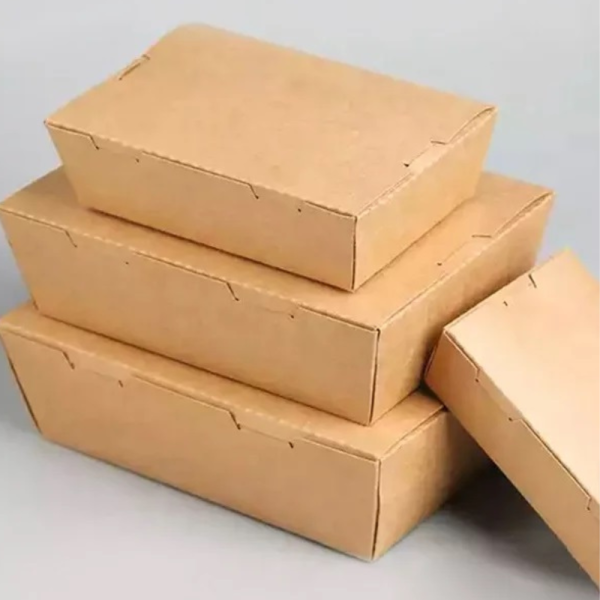 Disposable Food Box